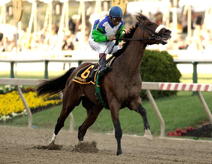 Тот самый роковой забег. Барбаро ещё не знает, какая тяжелая судьба его ждёт.