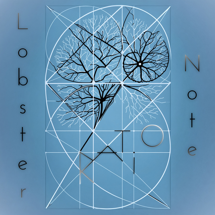     Metal, , , Progressive Metal, Progressive Rock