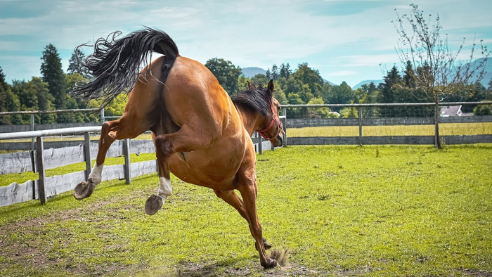 Ура, физкультура!