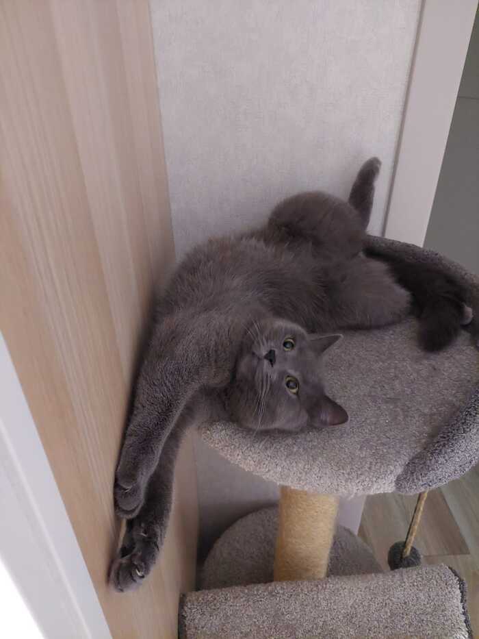      , , ,  , 