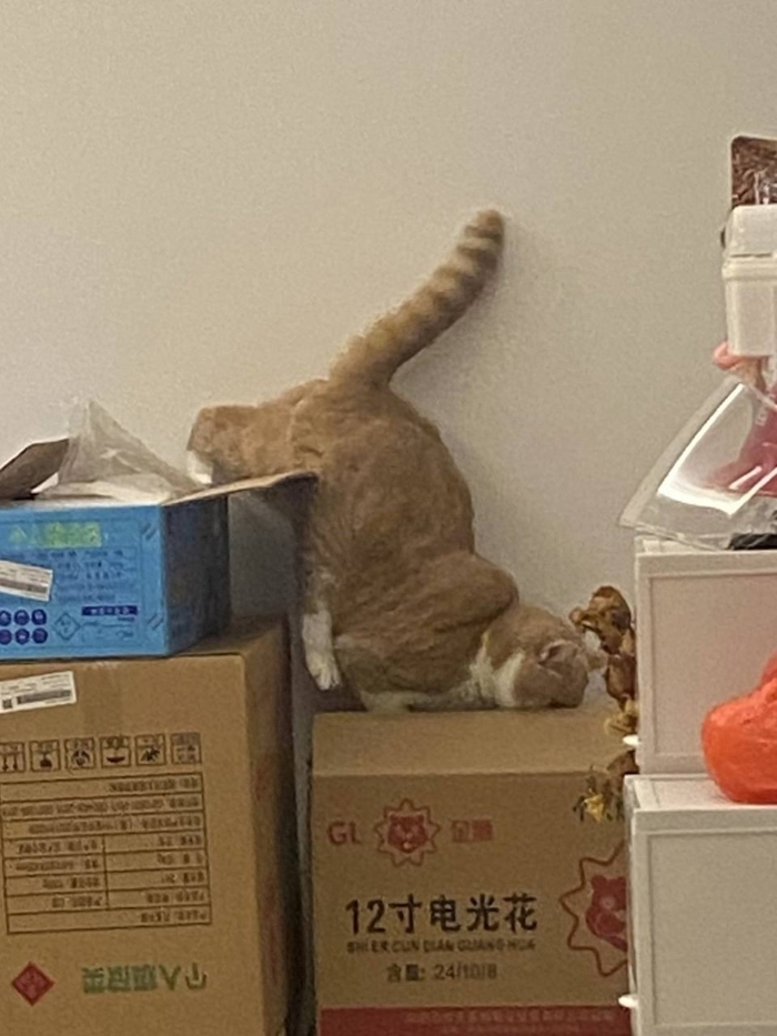 А можно проснуться и уже сразу быть таким. Но это уже суперспособность. Для этого нужно ещё +10 лет и будет доступно.