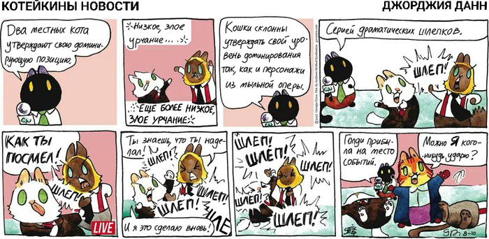 Котейкины Новости от 10.08.2025