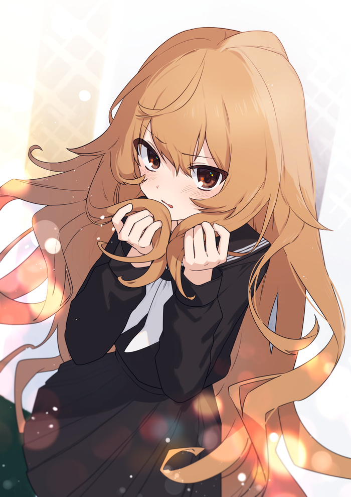 Taiga