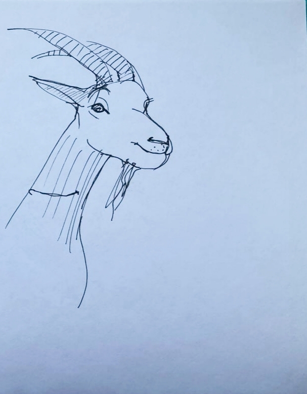 Сибирский козерог