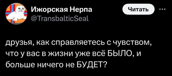     ?  , , , X (Twitter),   