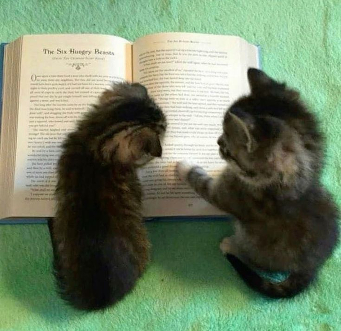        , , , , , , ,  , ,  