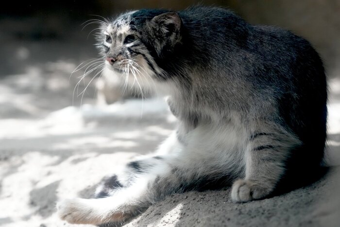 Бодрого понедельника...