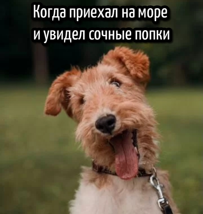   ,   , , , 
