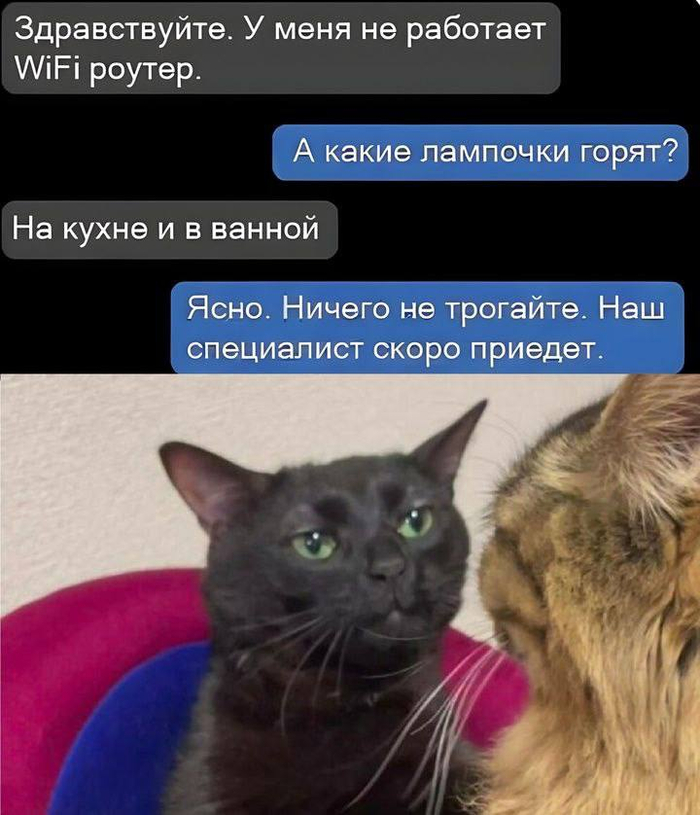     , , IT , Telegram (), , , 