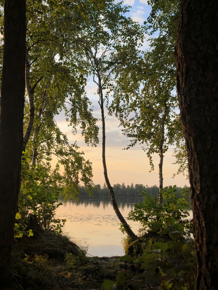 Краски летнего вечера