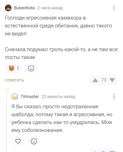Иллюстрация к комментарию