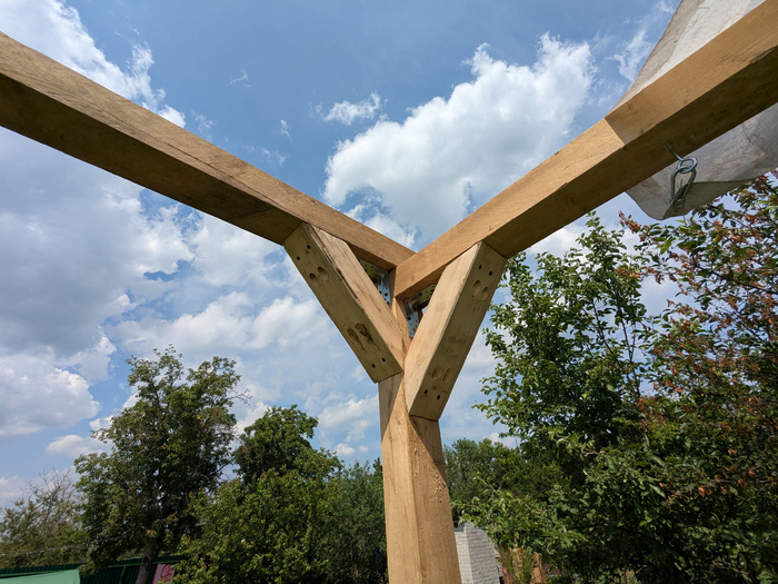 �����-�������-������, ������ ������� ���� ������ ����