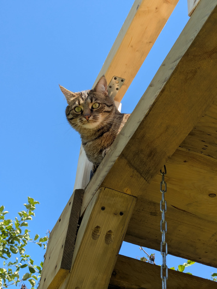 ���� ���� ����� ��������