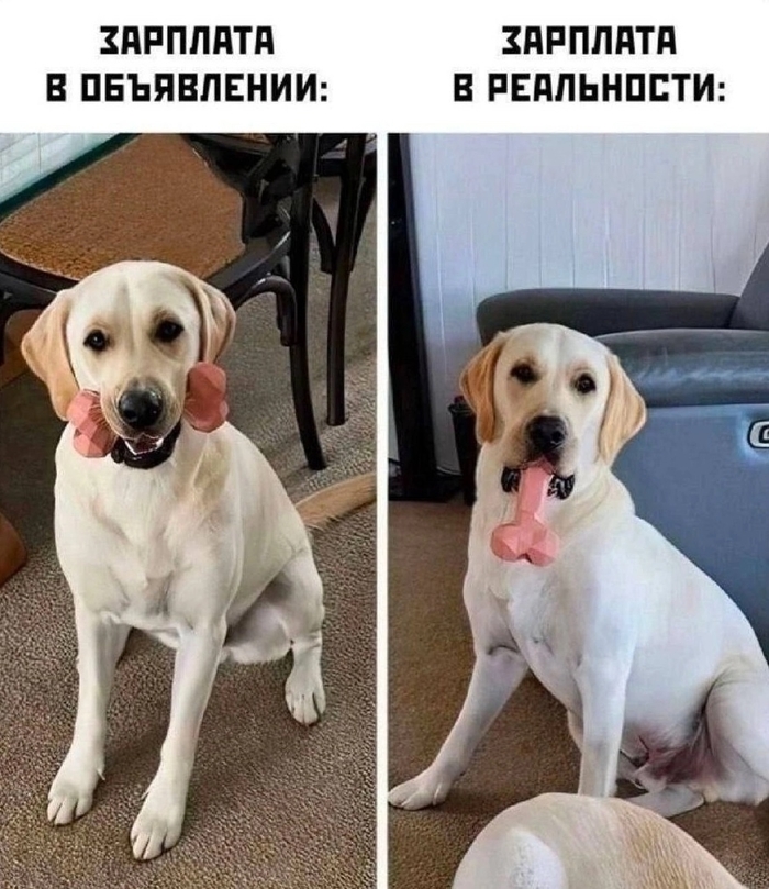 ����� �� ���� ������ ������?�