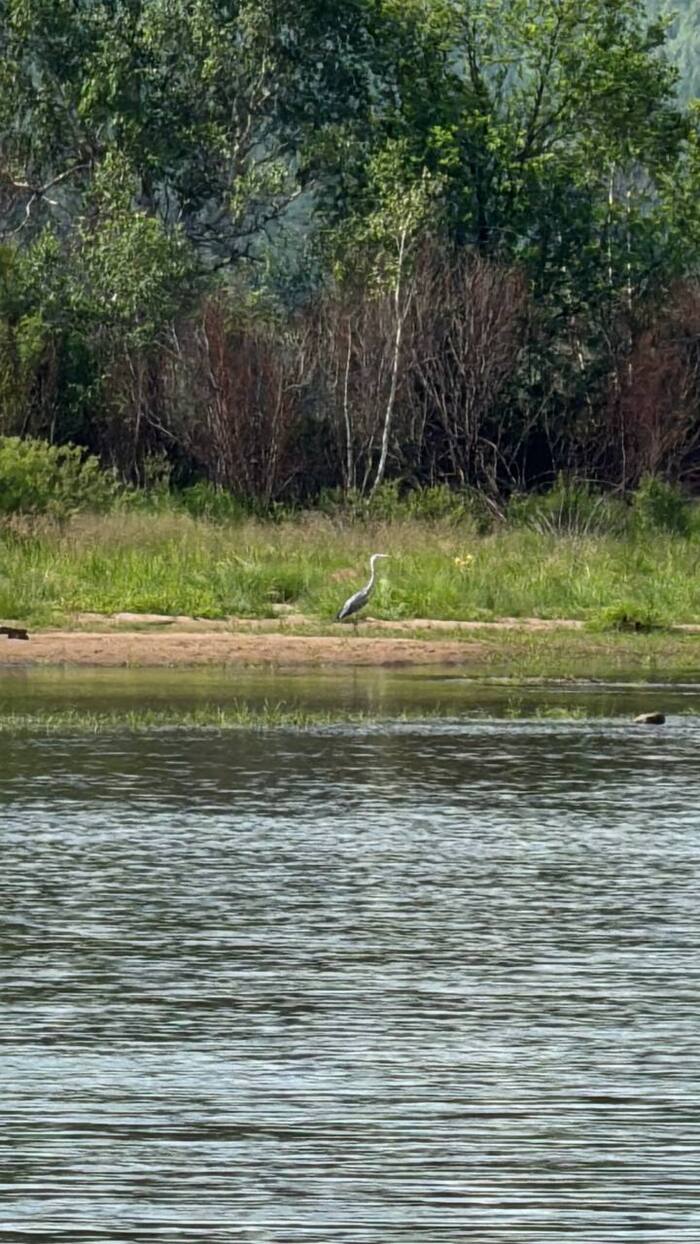 ������ �� ������� �� ������� 