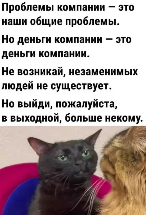 2gccivek.webp
