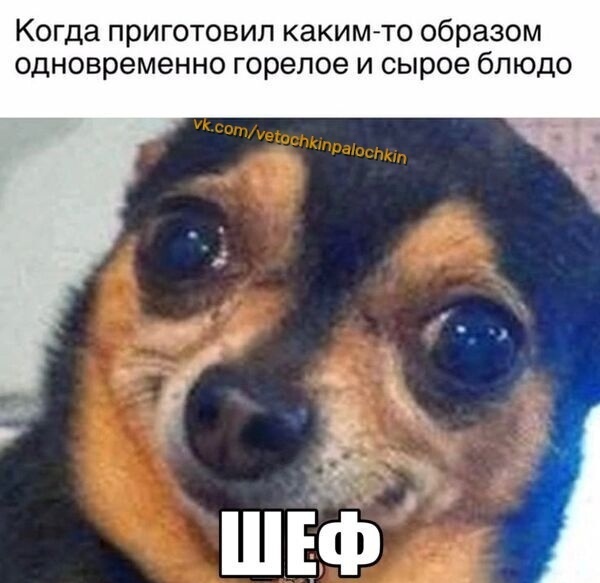  ,  (),   , , ,  , 