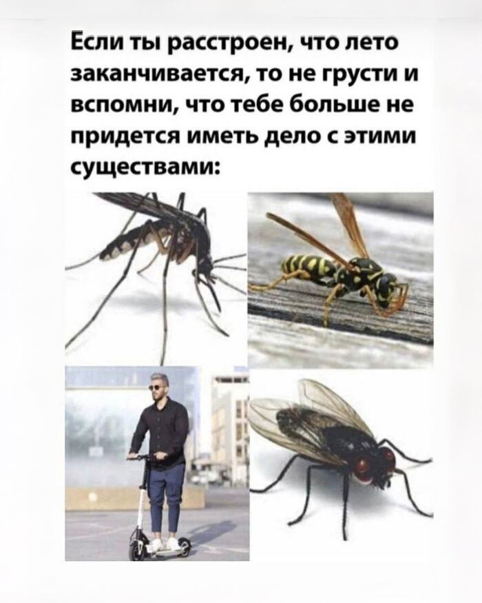     ,   , , , 