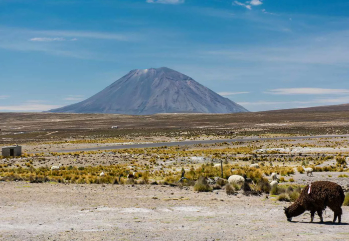 Уайнапутина