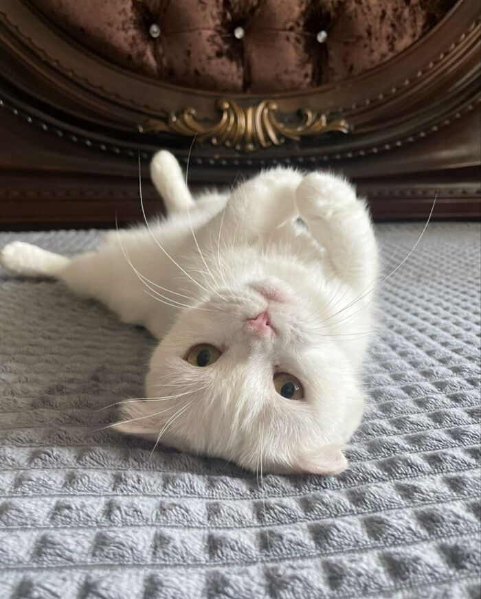    .   ! ,  ,   ,  ,  , ,  , ,  , ,   ,  ,  , ,  , -, 