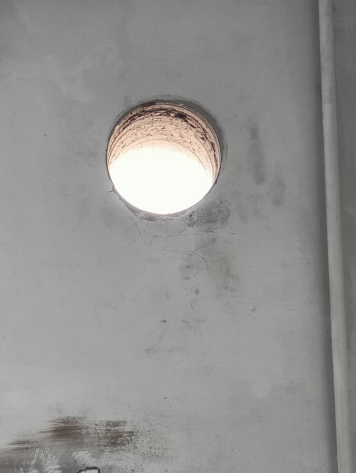           , , , ,  , ,  , 