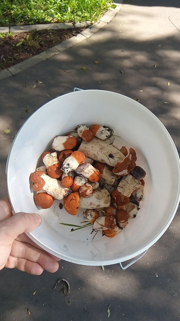        , , , 
