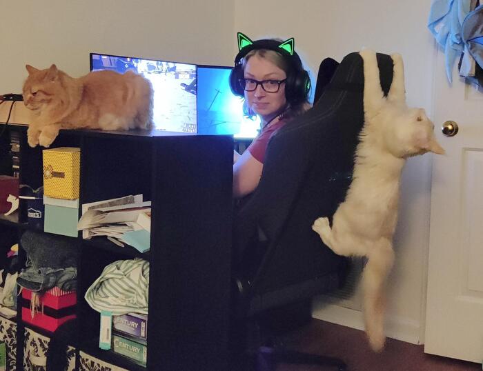 Трудности удаленной работы дома