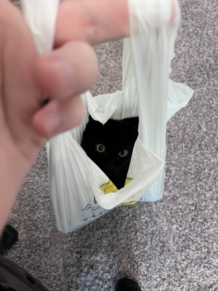         ,  , , , , 