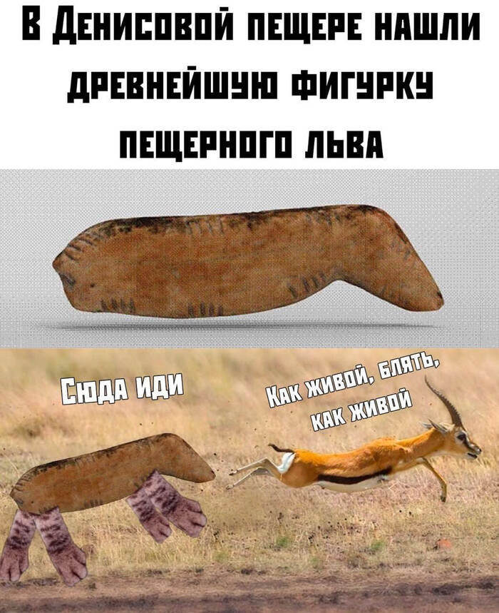 Ну и смешная картинка в тему