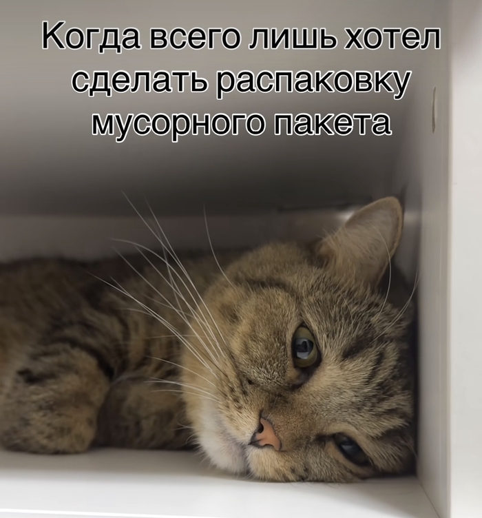   ,     ,  , ,   , , , , , , ,  