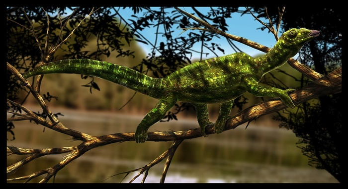 Megalancosaurus preonensis.