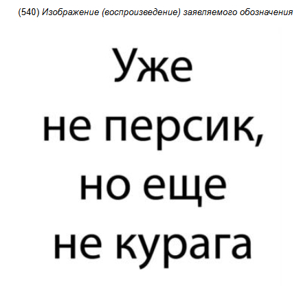Заявка на регистрацию товарного знака для сувенирки и одежды
