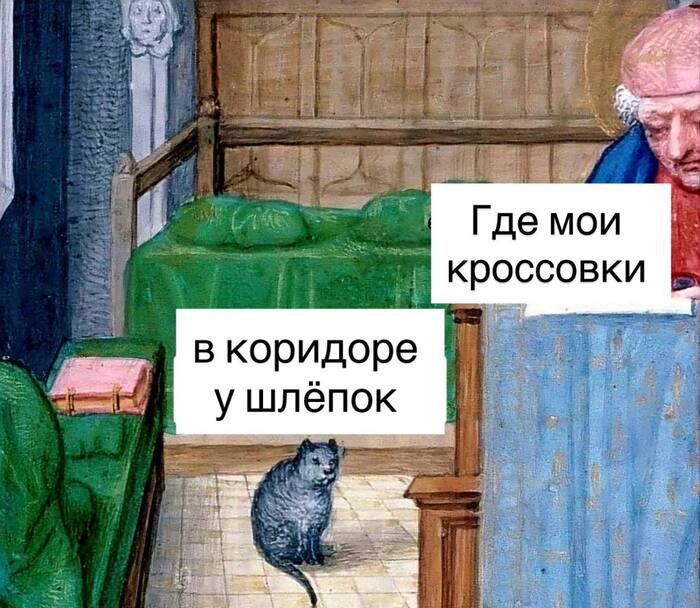 Месть скотомудилища