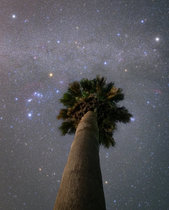Млечный путь. Место съёмки: Ямагути (префектура), Япония. Автор фото: Такемочи Юки Такемото.