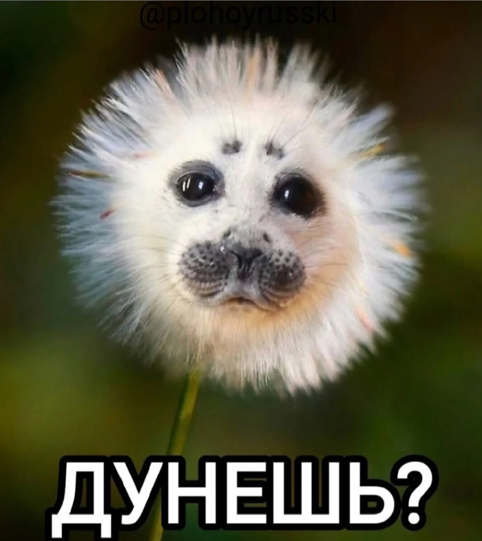 Да я уже третью, не берёт вроде