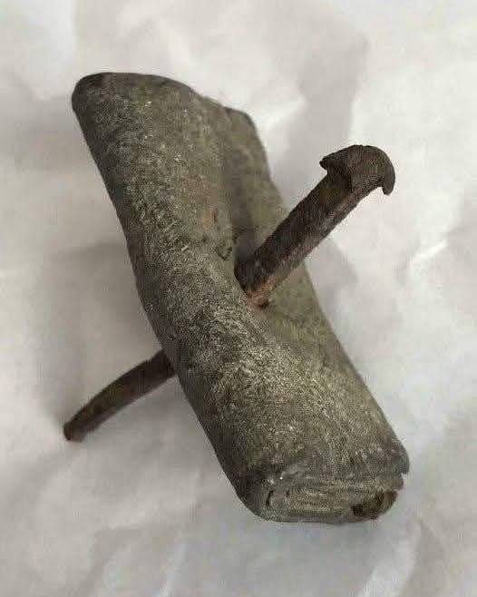 ���� �� �� ��