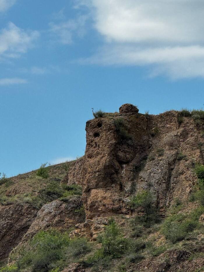 Видишь птицу? А она есть!