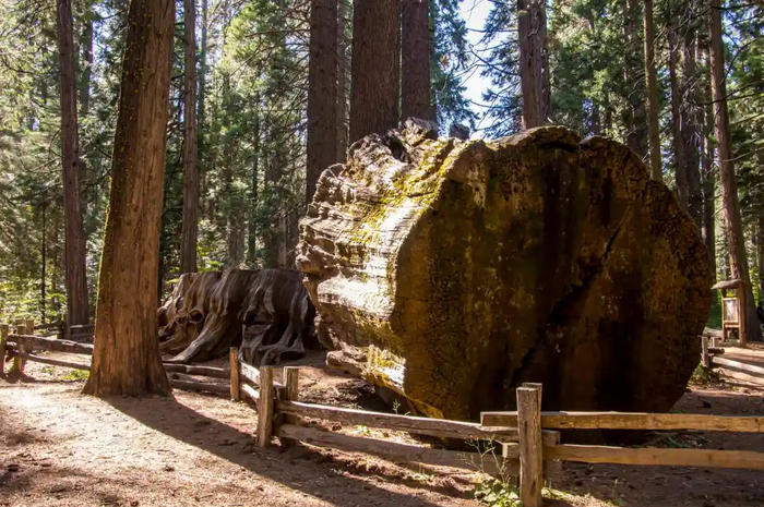    .  .    Hike then wine.