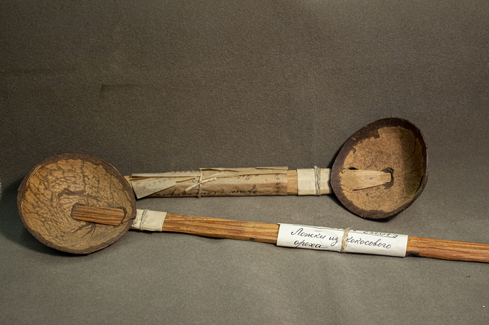 Ложки из кокоса, привезены В.И. Липским с Цейлона, 1908 г. Из фондов Ботанического музея БИН РАН.