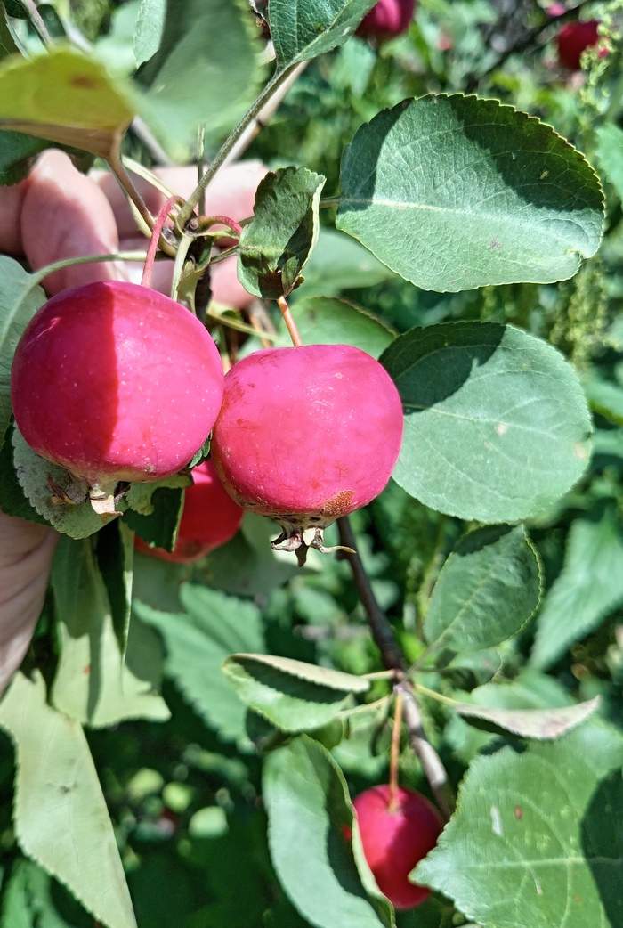 ������!!!