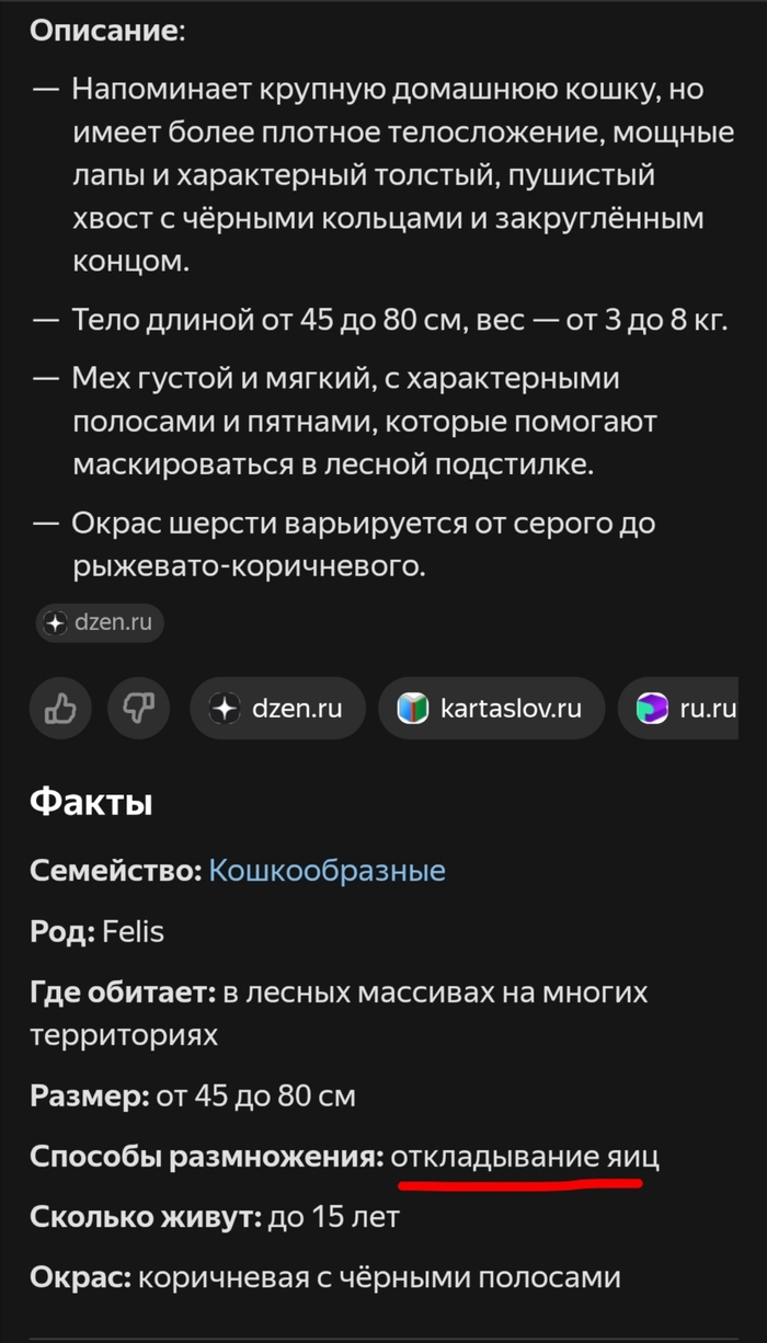 Ответ на пост «Лесной кот: Никогда не подбирайте котят в лесу. Это совсем другое, весьма опасное, животное»