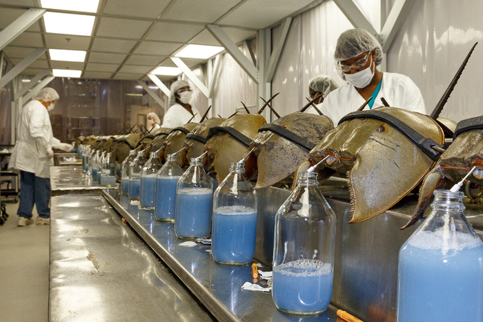 Пункт недобровольного донорства крови.