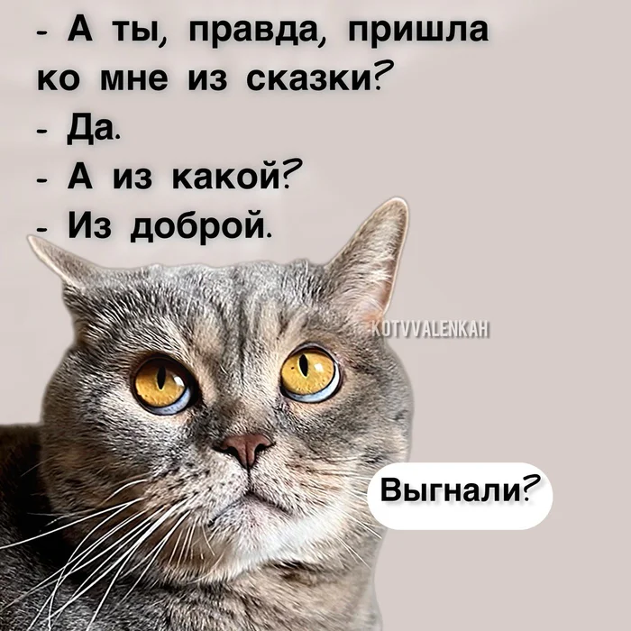 igocjtgu.webp