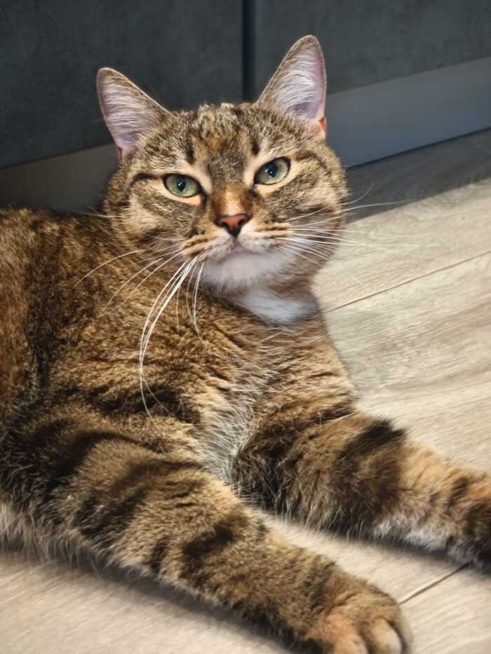   !   , ,  - ,  - ,  -   ,  
