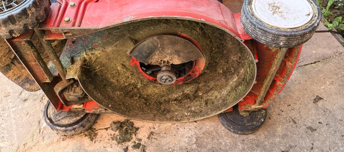 ��� ��� �� �����?