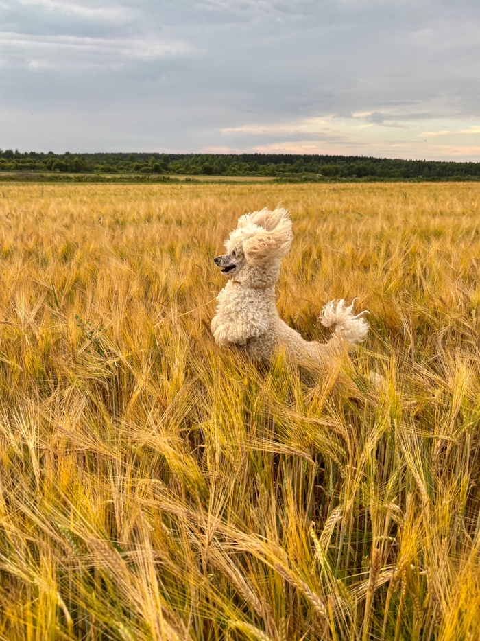 Счастье есть!
