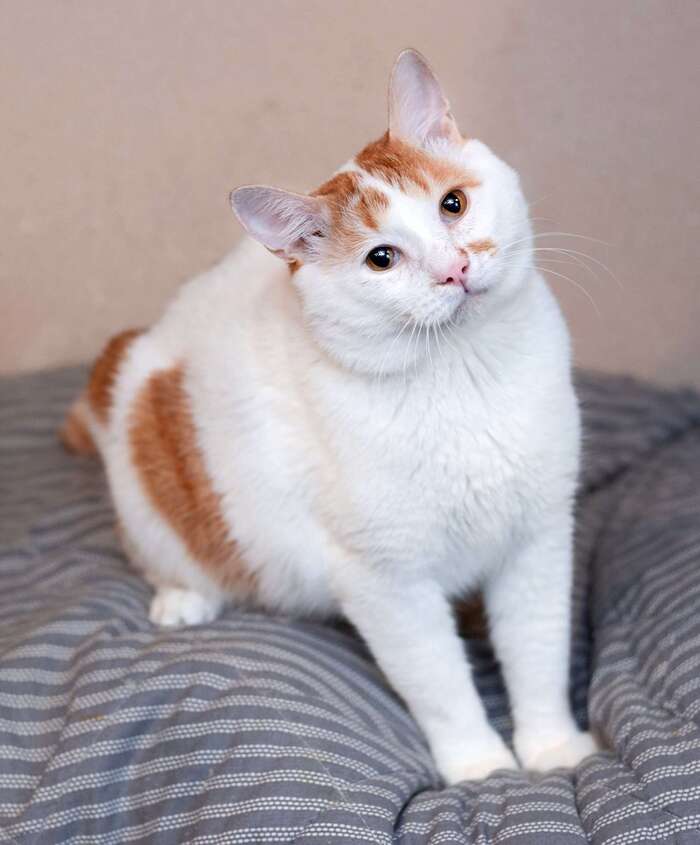         ,   , , ,  , , ,  ,  , 
