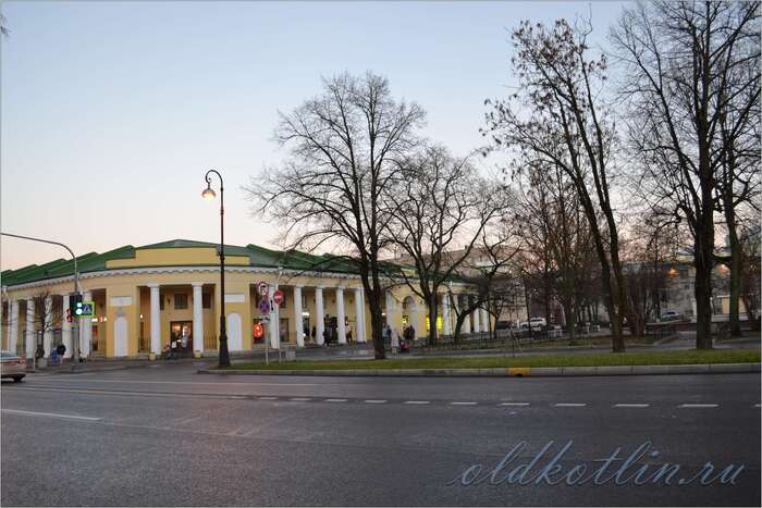 Примерное место съемок. Домик на старом фото стоит напротив аркообразного входа Гостиного двора между деревьвьями Фото мое, осень 2024 год