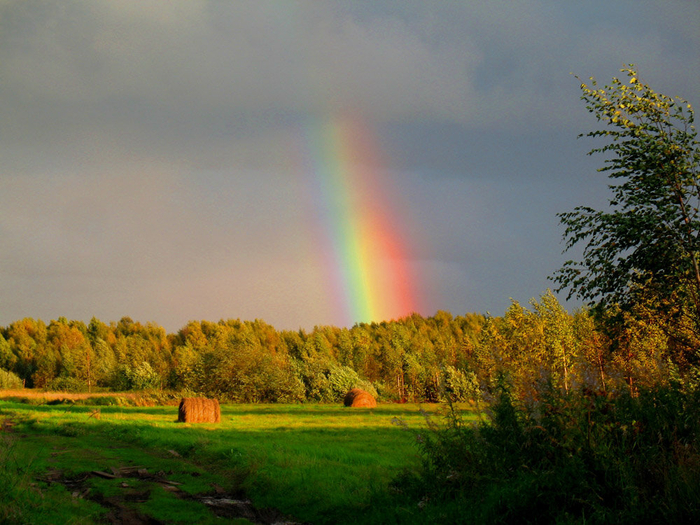 Rainbow