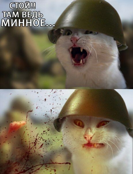  ,   , ,  